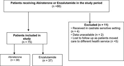 Real-World Data on Outcomes in Metastatic Castrate-Resistant Prostate Cancer Patients Treated With Abiraterone or Enzalutamide: A Regional Experience